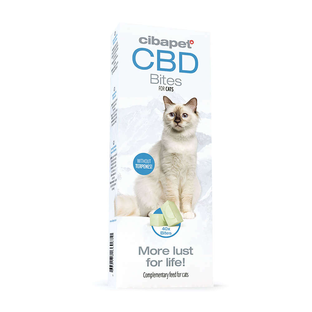 wholesale-cibdol-bites-cat-2