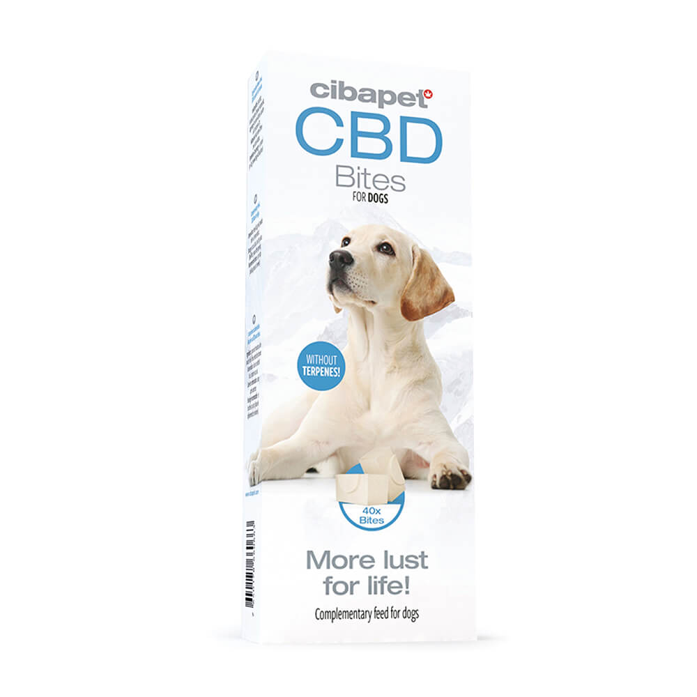 wholesale-cibdol-bites-dog-2