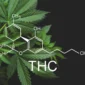 THC image