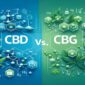 CBD vs CBG