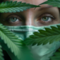 Cannabis COVID Art Concept